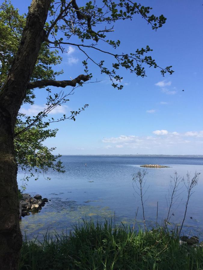 Green Monkey Lodge British Екстер'єр фото